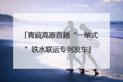 青藏高原首趟“一单式”铁水联运专列发车