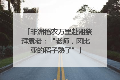 非洲稻农万里赴湘祭拜袁老：“老师，冈比亚的稻子熟了”