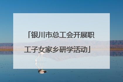 银川市总工会开展职工子女家乡研学活动