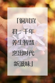 铜川宜君：千年养生智慧烹出时代新滋味