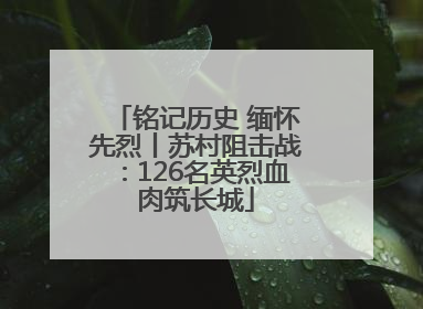 铭记历史 缅怀先烈丨苏村阻击战：126名英烈血肉筑长城