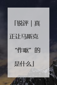 锐评｜真正让马斯克“作呕”的是什么