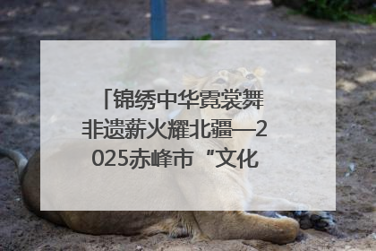 锦绣中华霓裳舞 非遗薪火耀北疆—2025赤峰市“文化和自然遗产日”非遗宣传展示活动纪实