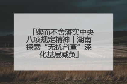 锲而不舍落实中央八项规定精神丨湖南探索“无扰督查”深化基层减负