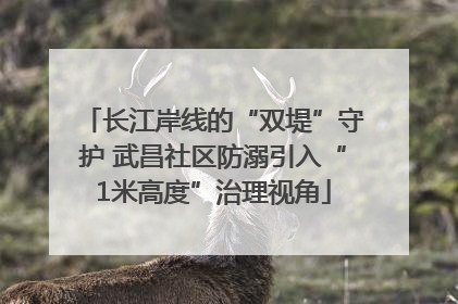长江岸线的“双堤”守护 武昌社区防溺引入“1米高度”治理视角