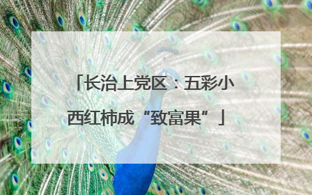 长治上党区：五彩小西红柿成“致富果”