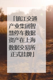 镇江交通产业集团智慧停车数据资产在上海数据交易所正式挂牌