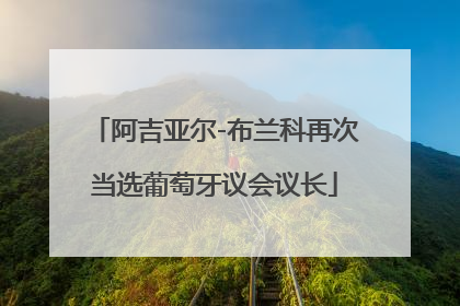 阿吉亚尔-布兰科再次当选葡萄牙议会议长