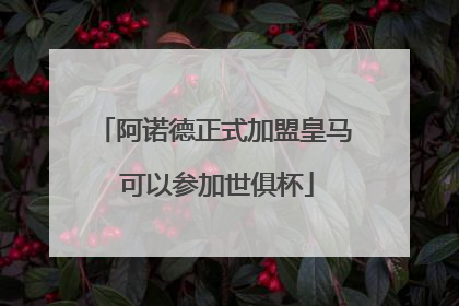 阿诺德正式加盟皇马 可以参加世俱杯