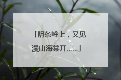 阴条岭上，又见漫山海棠开……