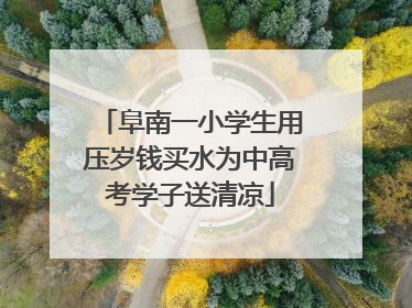 阜南一小学生用压岁钱买水为中高考学子送清凉