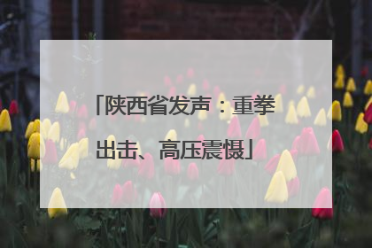 陕西省发声：重拳出击、高压震慑