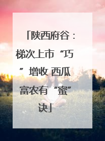 陕西府谷：梯次上市“巧”增收 西瓜富农有“蜜”诀