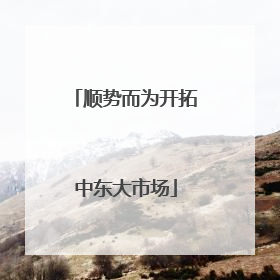 顺势而为开拓中东大市场