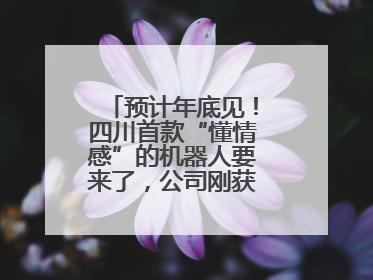 预计年底见！四川首款“懂情感”的机器人要来了，公司刚获数千万元融资