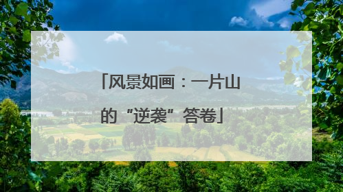风景如画：一片山的“逆袭”答卷