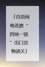 首票闽粤港澳“四地一锁”出口货物通关