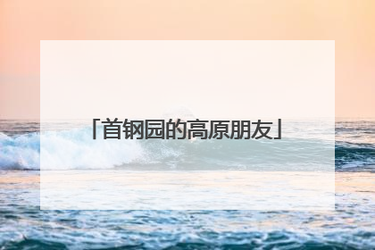 首钢园的高原朋友