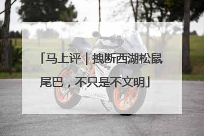 马上评｜拽断西湖松鼠尾巴，不只是不文明