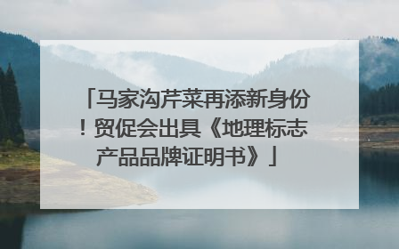 马家沟芹菜再添新身份！贸促会出具《地理标志产品品牌证明书》