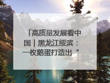 高质量发展看中国｜黑龙江绥滨：一枚鹅蛋打造出“产业图腾”