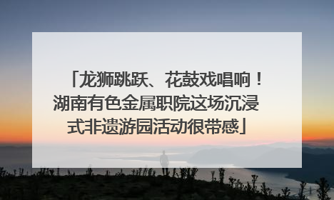 龙狮跳跃、花鼓戏唱响！湖南有色金属职院这场沉浸式非遗游园活动很带感