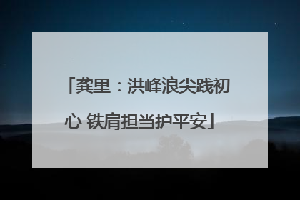 龚里：洪峰浪尖践初心 铁肩担当护平安
