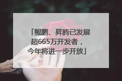鲲鹏、昇腾已发展超665万开发者，今年将进一步开放