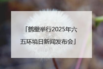 鹤壁举行2025年六五环境日新闻发布会