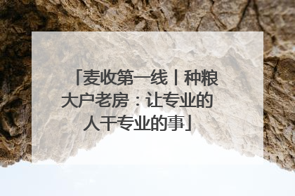 麦收第一线丨种粮大户老房：让专业的人干专业的事