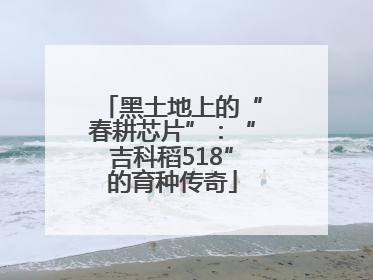 黑土地上的“春耕芯片”：“吉科稻518”的育种传奇
