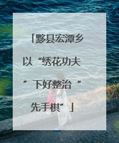黟县宏潭乡以“绣花功夫”下好整治“先手棋”