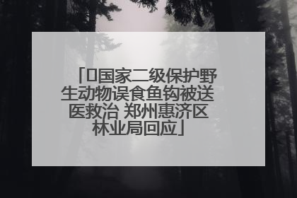 ﻿国家二级保护野生动物误食鱼钩被送医救治 郑州惠济区林业局回应