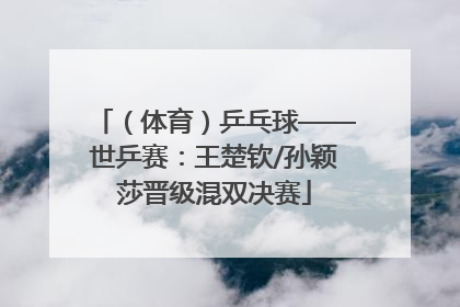 （体育）乒乓球——世乒赛：王楚钦/孙颖莎晋级混双决赛
