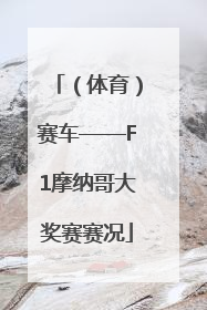 （体育）赛车——F1摩纳哥大奖赛赛况
