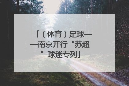（体育）足球——南京开行“苏超”球迷专列