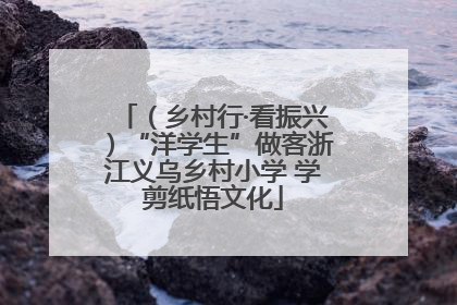 （乡村行·看振兴）“洋学生”做客浙江义乌乡村小学 学剪纸悟文化