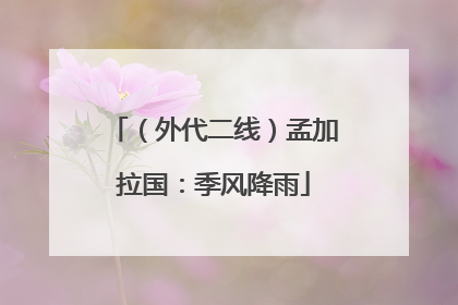 （外代二线）孟加拉国：季风降雨