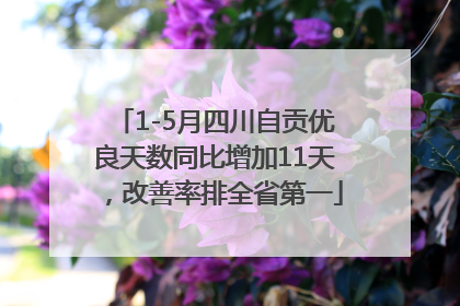 1-5月四川自贡优良天数同比增加11天，改善率排全省第一