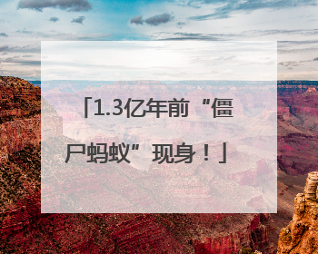 1.3亿年前“僵尸蚂蚁”现身！