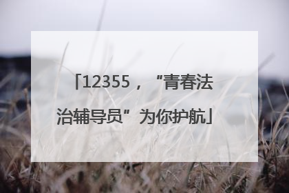 12355，“青春法治辅导员”为你护航
