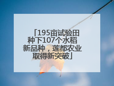 195亩试验田种下107个水稻新品种，莲都农业取得新突破