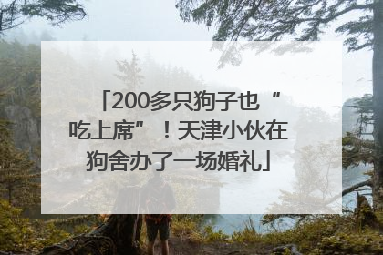200多只狗子也“吃上席”！天津小伙在狗舍办了一场婚礼