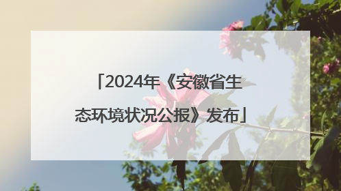 2024年《安徽省生态环境状况公报》发布