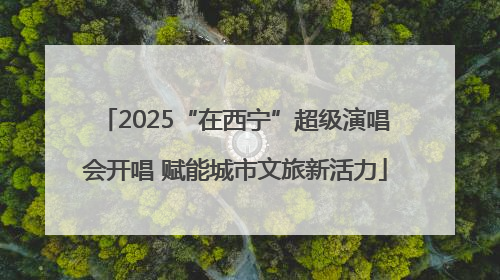 2025“在西宁”超级演唱会开唱 赋能城市文旅新活力