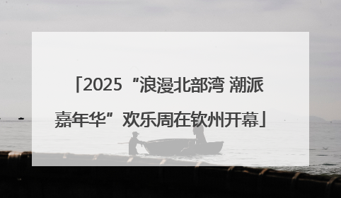 2025“浪漫北部湾 潮派嘉年华”欢乐周在钦州开幕
