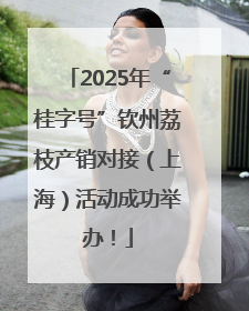 2025年“桂字号”钦州荔枝产销对接（上海）活动成功举办！