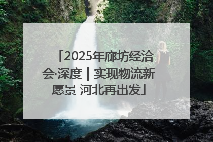 2025年廊坊经洽会·深度｜实现物流新愿景 河北再出发
