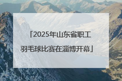 2025年山东省职工羽毛球比赛在淄博开幕