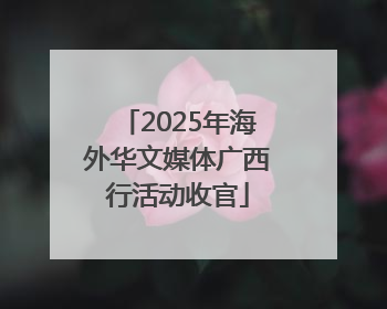 2025年海外华文媒体广西行活动收官